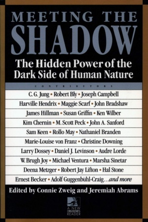 "Meeting the Shadow: The Hidden Power of the Dark Side of Human Nature" edited by Connie Zweig and Jeremiah Abrams (1991 edition)