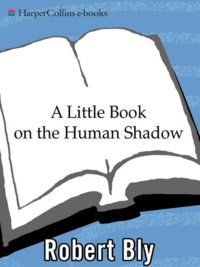 "A Little Book on the Human Shadow" by Robert Bly
