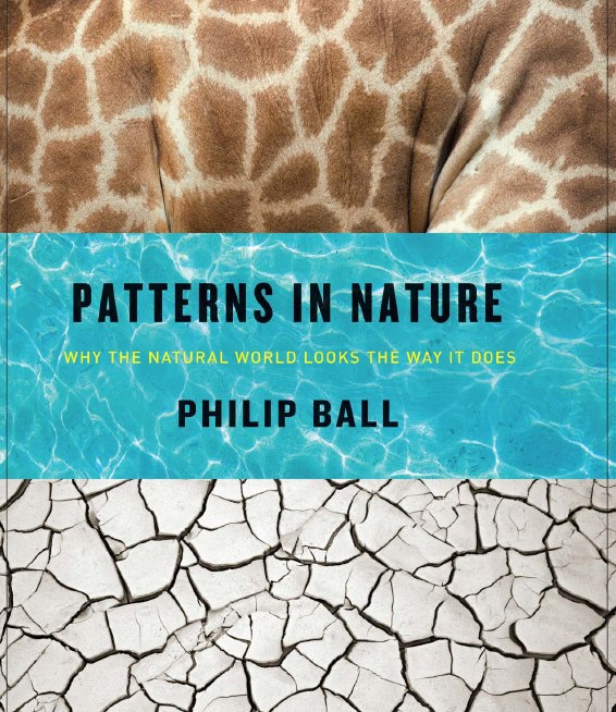 "Patterns in Nature: Why the Natural World Looks the Way It Does" by Philip Ball