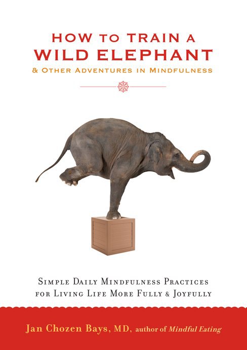 "How to Train a Wild Elephant: And Other Adventures in Mindfulness" by Jan Chozen Bays