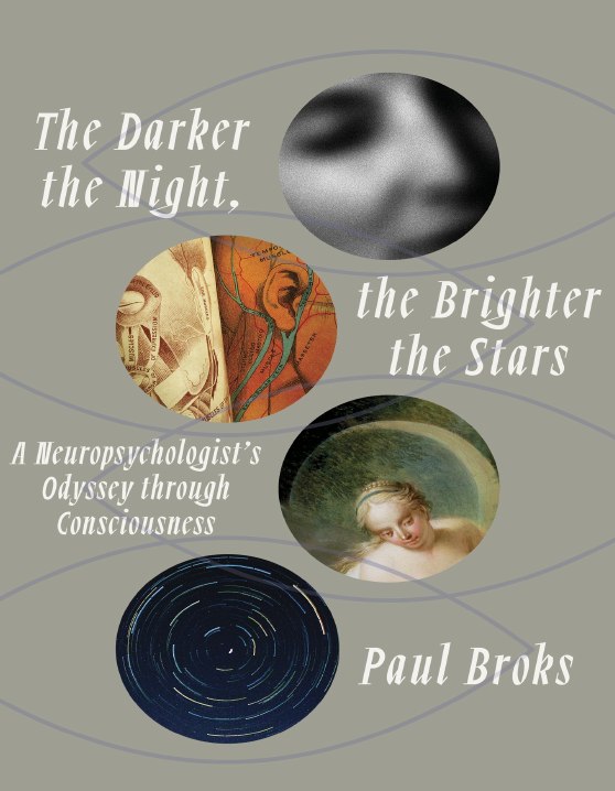"The Darker the Night, the Brighter the Stars: A Neuropsychologist's Odyssey Through Consciousness" by Paul Broks