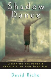"Shadow Dance: Liberating the Power & Creativity of Your Dark Side" by David Richo