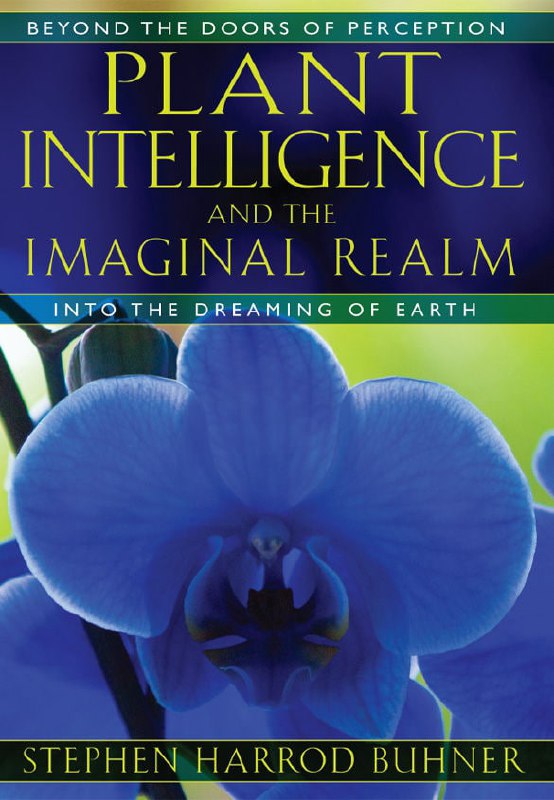 "Plant Intelligence and the Imaginal Realm: Beyond the Doors of Perception into the Dreaming of Earth" by Stephen Harrod Buhner