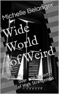 "Wide World of Weird: Over 100 Reports of High Strangeness" by Michelle Belanger