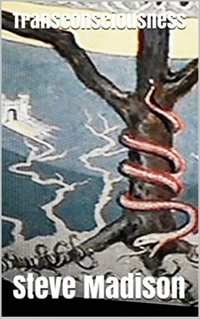 "Transconsciousness" by Steve Madison