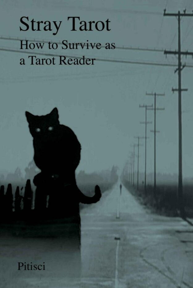 "Stray Tarot: How to Survive as a Tarot Reader" by Vincent Pitisci