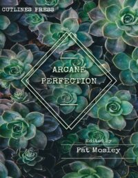 "Arcane Perfection: An Anthology by Queer, Trans and Intersex Witches" edited by Pat Mosley and Dylan Ce