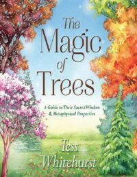 "The Magic of Trees: A Guide to Their Sacred Wisdom & Metaphysical Properties" by Tess Whitehurst