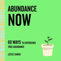 "Abundance Now: 60 Ways to Experience True Abundance" by Jesse Sands