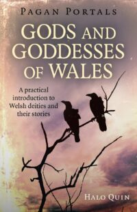 "Gods and Goddesses of Wales: A Practical Introduction To Welsh Deities And Their Stories" by Halo Quin (Pagan Portals)