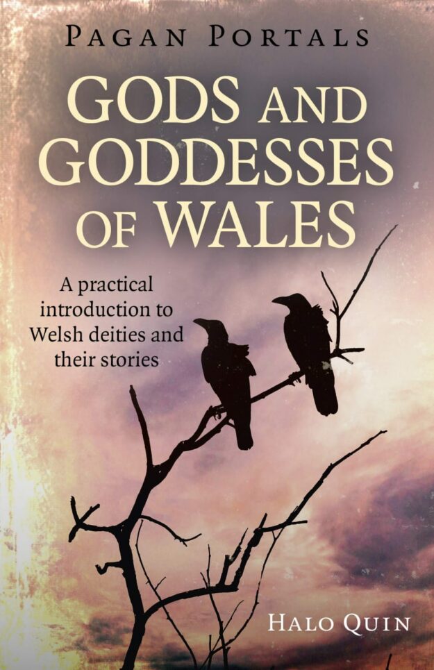 "Gods and Goddesses of Wales: A Practical Introduction To Welsh Deities And Their Stories" by Halo Quin (Pagan Portals)