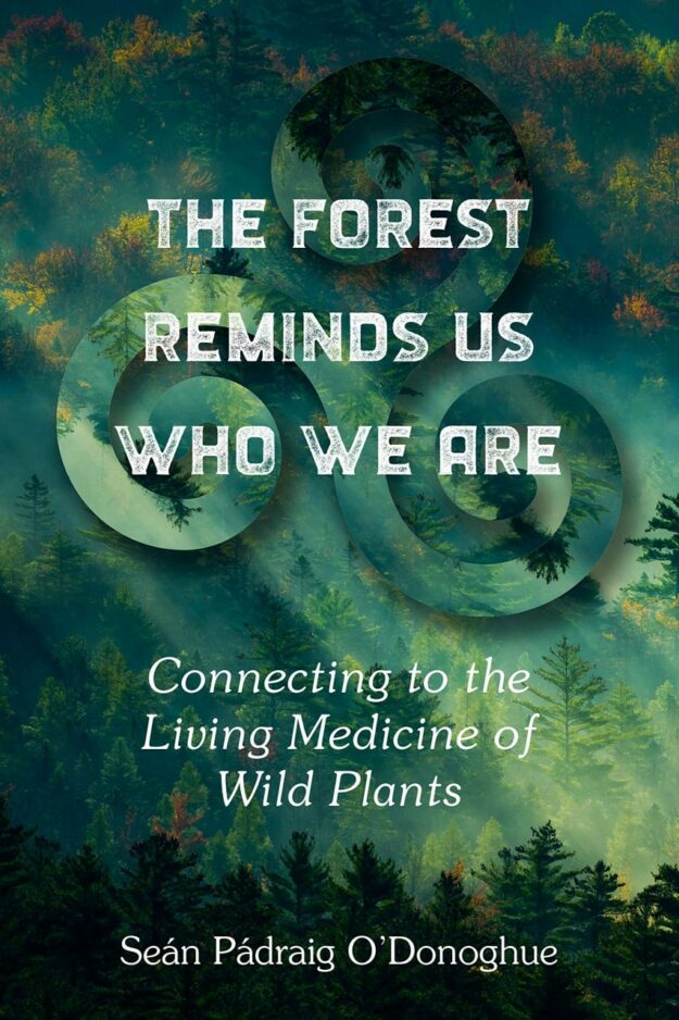 "The Forest Reminds Us Who We Are: Connecting to the Living Medicine of Wild Plants" by Sean Padraig O'Donoghue