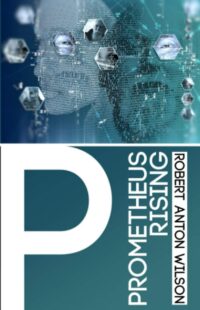 "Prometheus Rising" by Robert Anton Wilson (kindle ebook version)