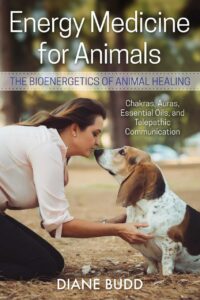"Energy Medicine for Animals: The Bioenergetics of Animal Healing" by Diane Budd