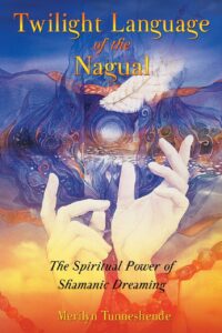 "Twilight Language of the Nagual: The Spiritual Power of Shamanic Dreaming" by Merilyn Tunneshende