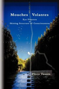 "Mouches Volantes. Eye Floaters as Shining Structure of Consciousness" by Floco Tausin
