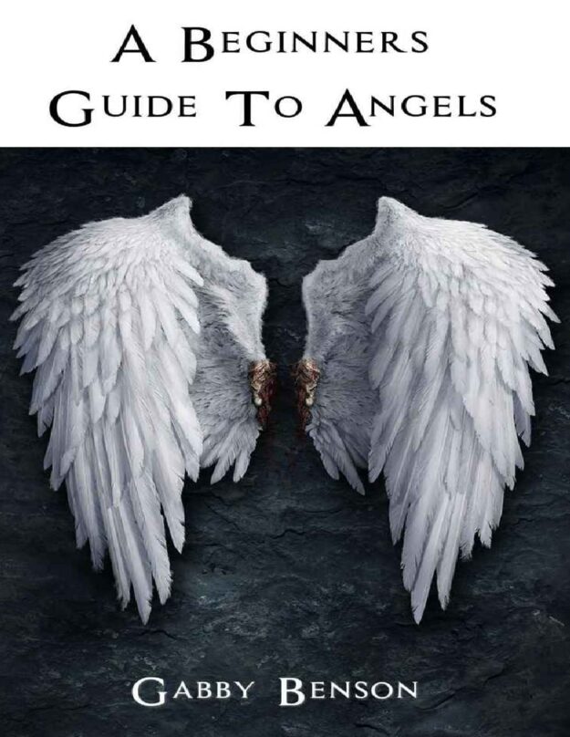"Beginners Guide to Angels" by Gabby Benson