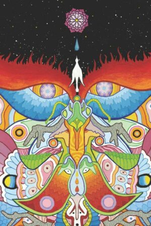 "Dive Manual: Empirical Investigations of Mysticism" by Anthony Tyler