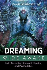 "Dreaming Wide Awake: Lucid Dreaming, Shamanic Healing, and Psychedelics" by David Jay Brown (Kindle ebook version)
