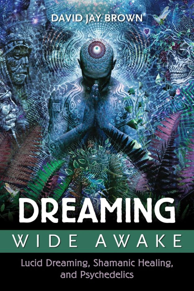 "Dreaming Wide Awake: Lucid Dreaming, Shamanic Healing, and Psychedelics" by David Jay Brown (Kindle ebook version)