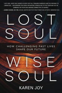 "Lost Soul, Wise Soul: How Challenging Past Lives Shape Our Future" by Karen Joy
