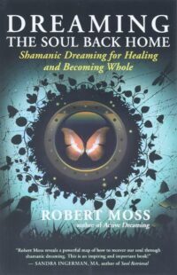 "Dreaming the Soul Back Home: Shamanic Dreaming for Healing and Becoming Whole" by Robert Moss