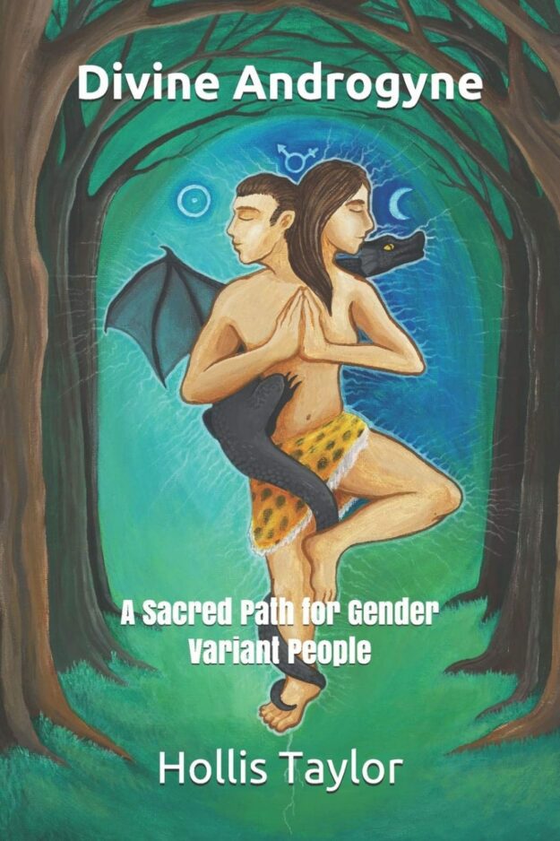 "Divine Androgyne: A Sacred Path for Gender Variant People" by Hollis Taylor