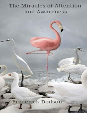 "The Miracles of Attention and Awareness" by Frederick Dodson