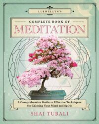 "Llewellyn's Complete Book of Meditation: A Comprehensive Guide to Effective Techniques for Calming Your Mind and Spirit" by Shai Tubali