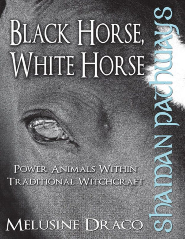 "Black Horse, White Horse" by Melusine Draco (Shaman Pathways)