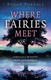 "Where Fairies Meet: Parallels between Irish and Romanian Fairy Traditions" by Daniela Simina (Pagan Portals)