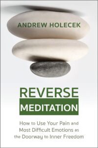 "Reverse Meditation: How to Use Your Pain and Most Difficult Emotions as the Doorway to Inner Freedom" by Andrew Holecek