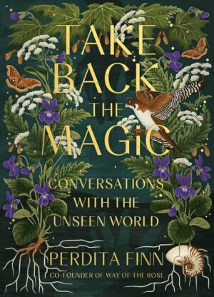 "Take Back the Magic: Conversations with the Unseen World" by Perdita Finn