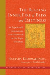 "The Blazing Inner Fire of Bliss and Emptiness: An Experiential Commentary on the Practice of the Six Yogas of Naropa" by David Gonsalez