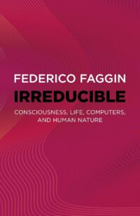 "Irreducible: Consciousness, Life, Computers, and Human Nature" by Federico Faggin