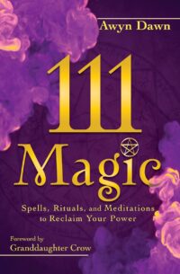 "111 Magic: Spells, Rituals, and Meditations to Reclaim Your Power" by Awyn Dawn