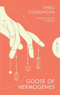 "Goose of Hermogenes" by Ithell Colquhoun