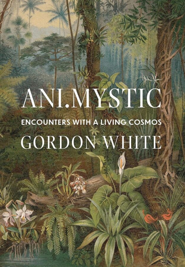 "Ani.Mystic: Encounters with a Living Cosmos" by Gordon White
