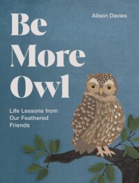 "Be More Owl: Life Lessons from Our Feathered Friends" by Alison Davies